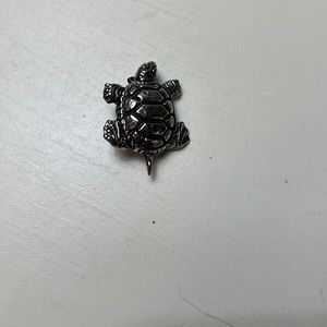 P4. Small turtle pin.